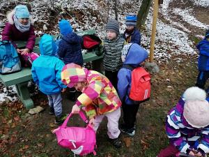 IMG_20181119_144225
